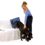 mujer-dando-orden-baja-a-un-perro