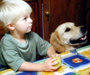 nino-y-perro-en-la-mesa