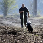 Perro Buscando Persona