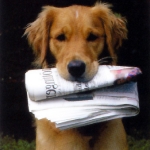 Perro con Periodico, adiestramiento canino
