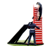 Perro Escalando una Pared