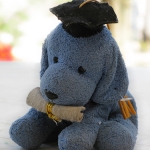 Perro graduado