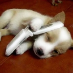 Perro hablando por telefono