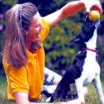 Perro Mordiendo una Pelota