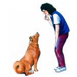 perro poniendo atencion 01 