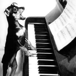 Perro Tocando un Piano