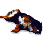 perro-tumbado.png