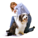 Aspirando el pelo de un perro