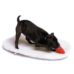 Perro con ansiedad por separacion