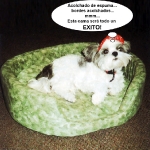 perro catador de cama 