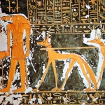 Domesticacion del Perro