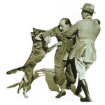 Perro policia atacando