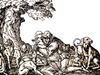 Primeros cuidados Caninos