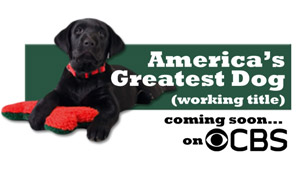 americas-greatest-dog