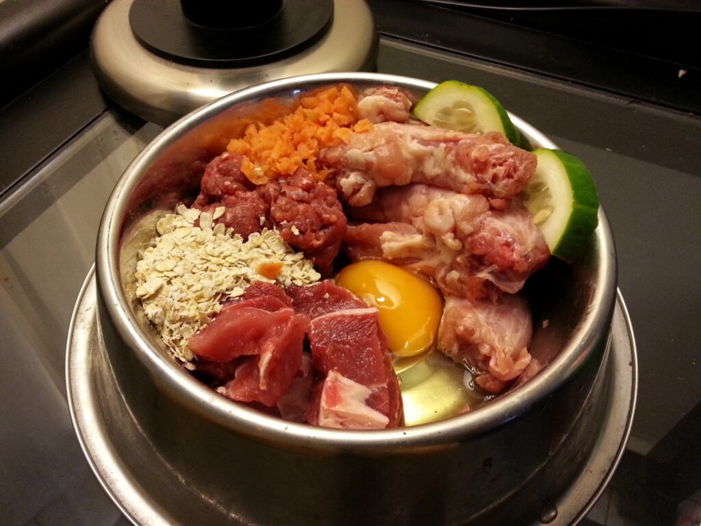 alimentación del pastor belga 1