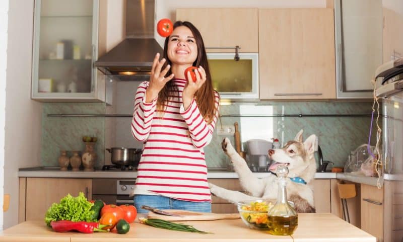 Como alimentar a un Husky Siberiano