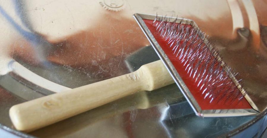 cuidados indispensables de un samoyedo 2