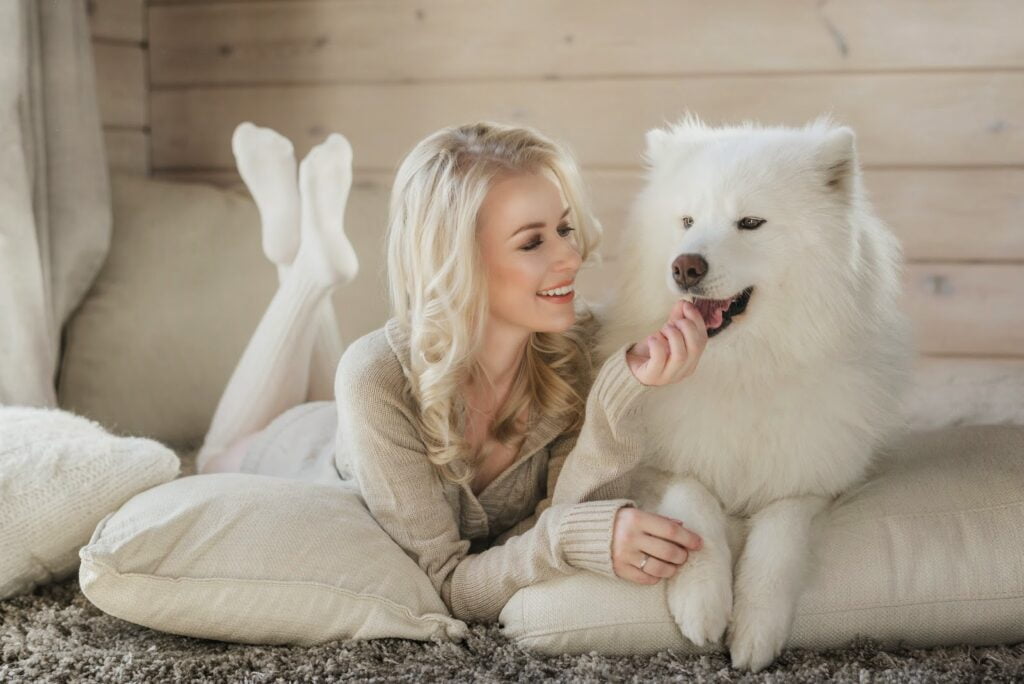 las ventajas de poseer un samoyedo