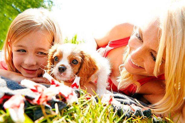 madre e hija disfrutando la compañía de un cavalier king charles spaniel