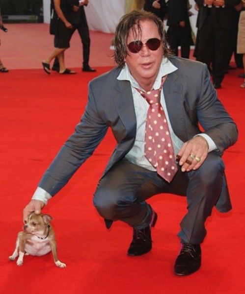mickey rourke con un chihuahua en la alfombra roja
