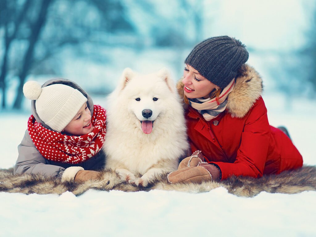 temperamento del samoyedo
