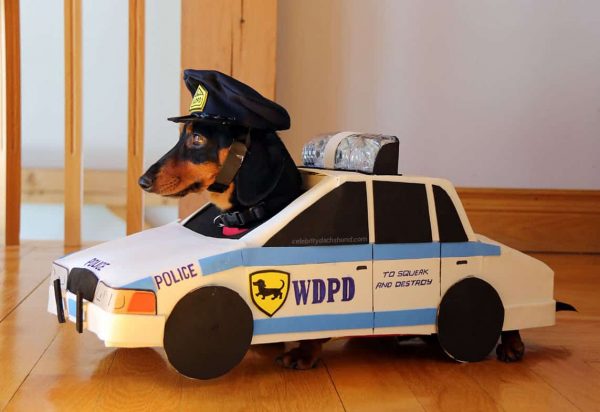 perro policial