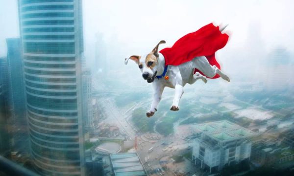 super perro