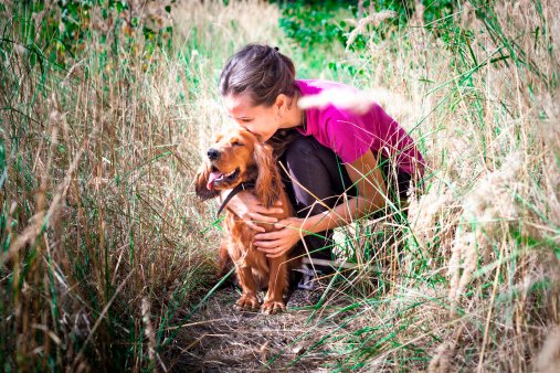cocker spaniel ingles razas de perros pequeños y cariñosos