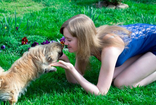 pequines razas de perros pequeños y cariñosos