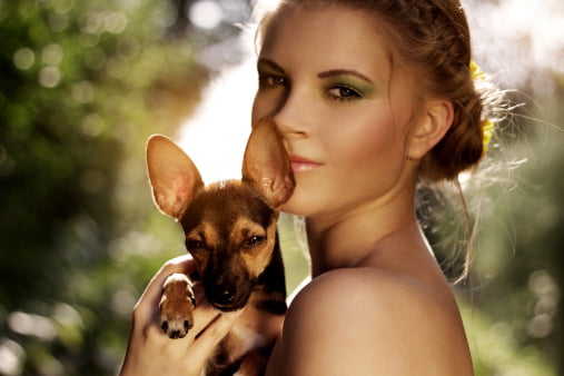 pinscher razas de perros pequeños y cariñosos