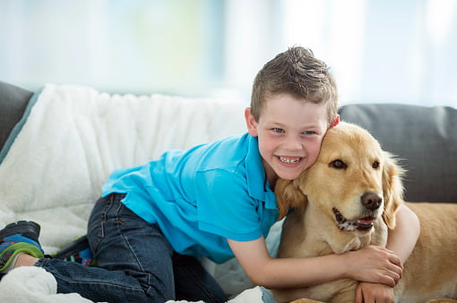 niño abrazando un golden retriever