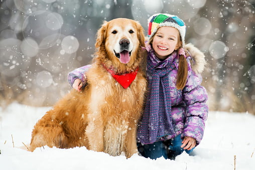 golden retriever con niña