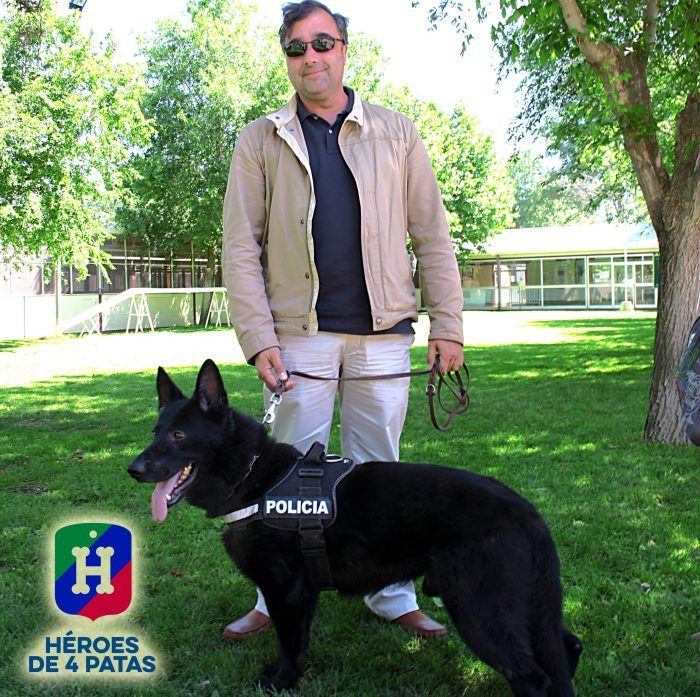 heroes de 4 patas perros policías en adopción