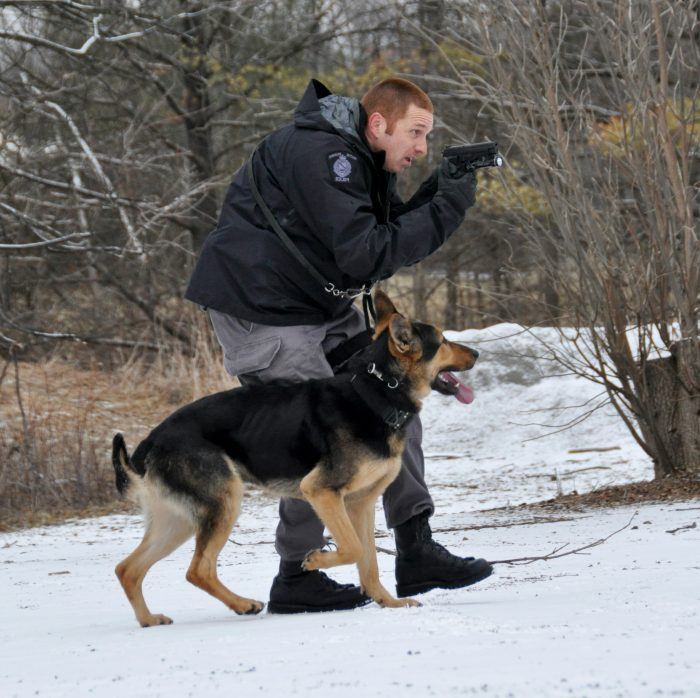 imagen de un perro policía en un operativo a campo abierto