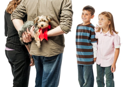 padres regalando yorkshire terrier a sus hijos