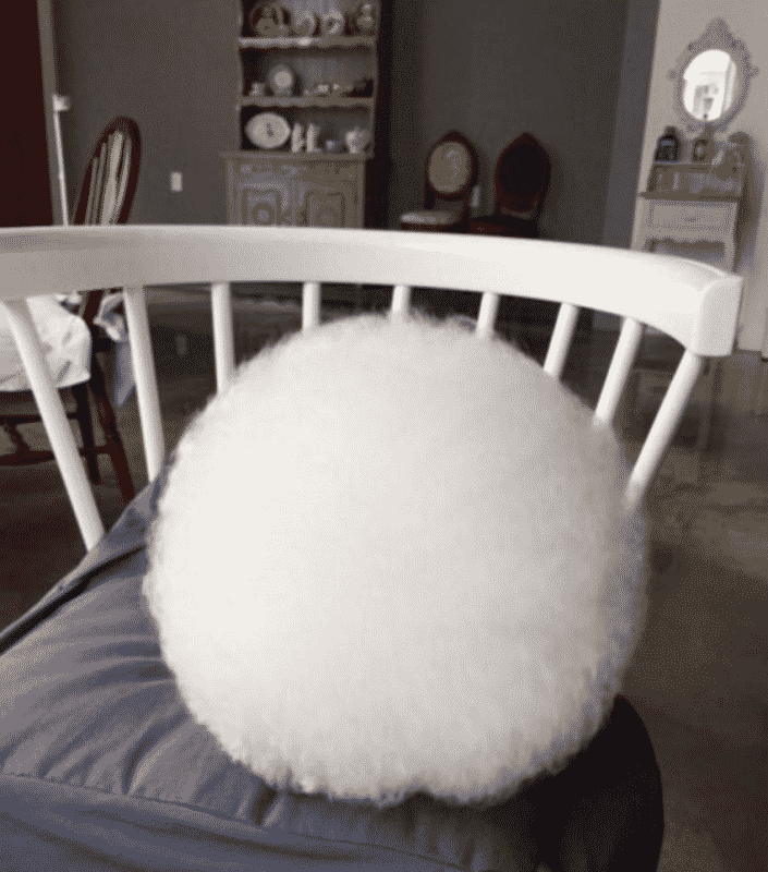 perro blanco y pequeño descansando sobre una silla