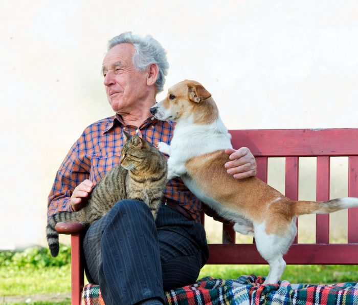 perro y gato junto a hombre mayor anciano