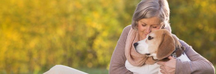 beagle junto a mujer mayor razas de perros pequeños para personas mayores