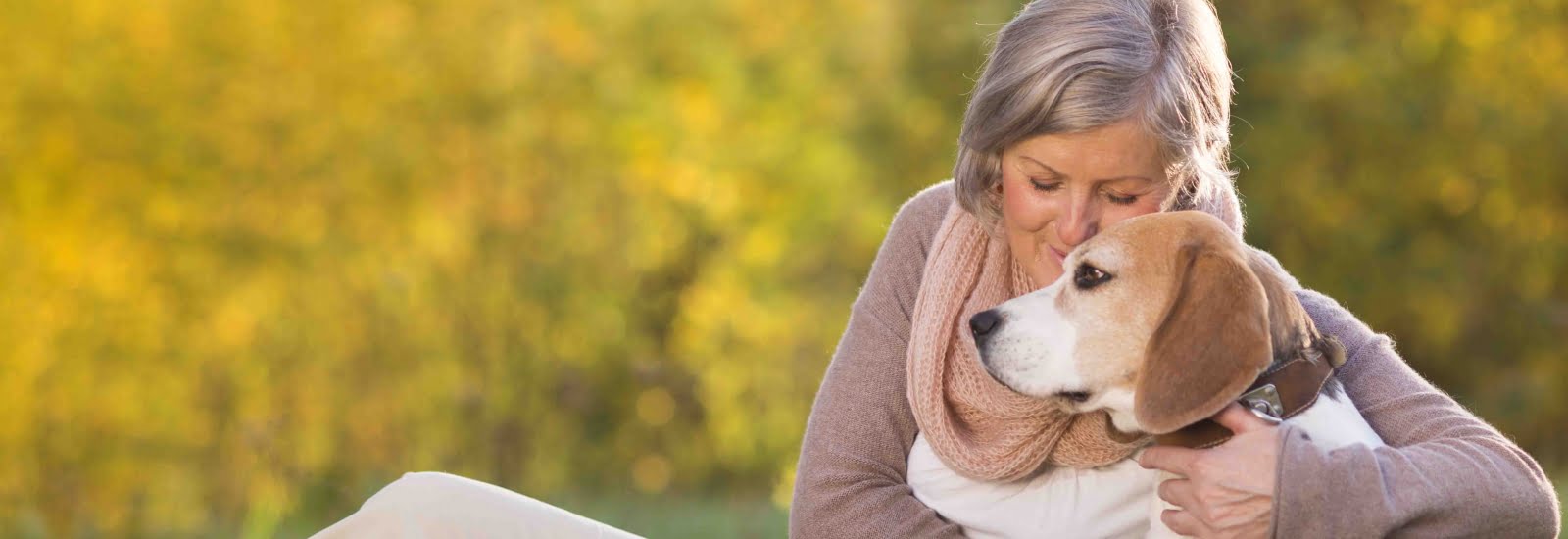 beagle junto a mujer mayor razas de perros pequeños para personas mayores