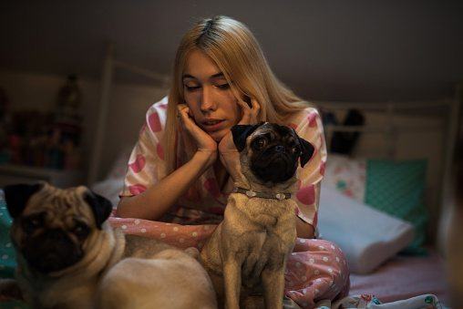 razas de perros pequeños para principiantes