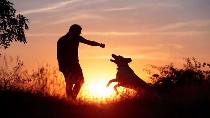 silueta de un perro jugando con su amo al atardecer