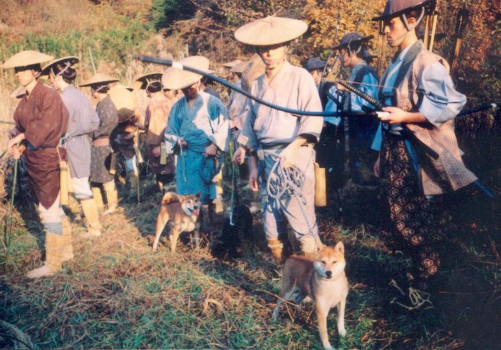 historia del Shiba Inu