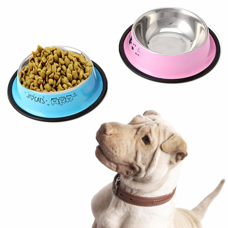 comederos para perros