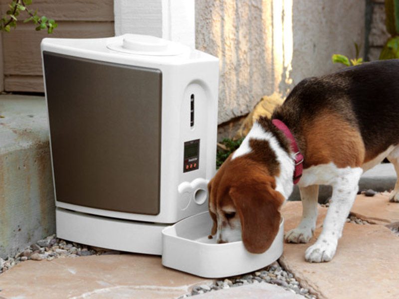 comederos para perros recargables