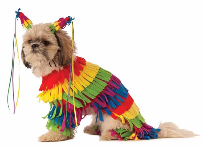 disfraz de piñata para perros