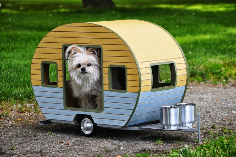 que es un remolque para perros