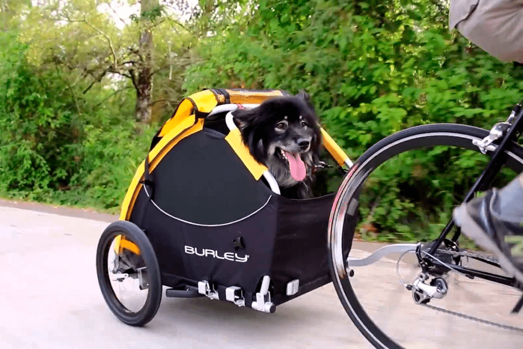 mejores transportines para perros