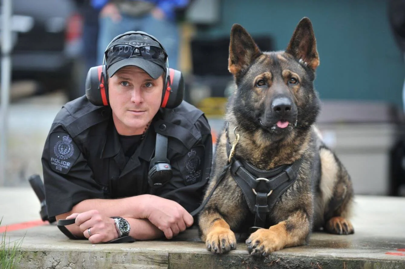 pastor belga junto a su compañero de operaciones especiales